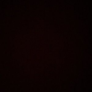 Meet your Posher, Audrey